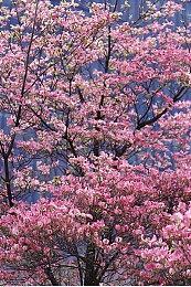 试玩版限时公开！《无名者：屠龙》即将亮相WEPLAY展会